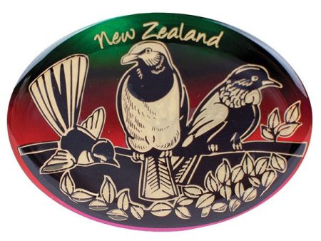 Magnet Multicolour Birds of NZ For Cheap