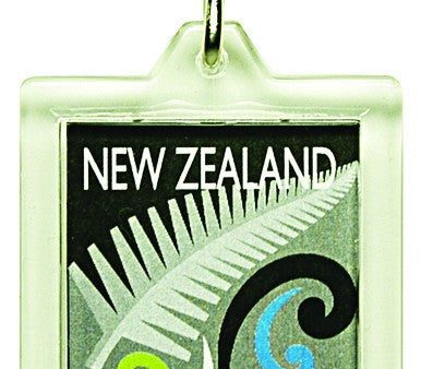 Key Ring Acrylic Silver Fern Online Hot Sale