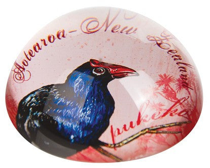 Paperweight Acrylic Pukeko Large on Sale