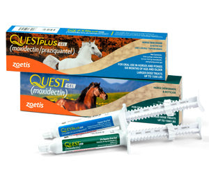 Zoetis Quest Horse Dewormer Gel Online Hot Sale