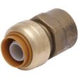 1 2 x 1 2-In. FIP Pipe Connector, Lead-Free Sale