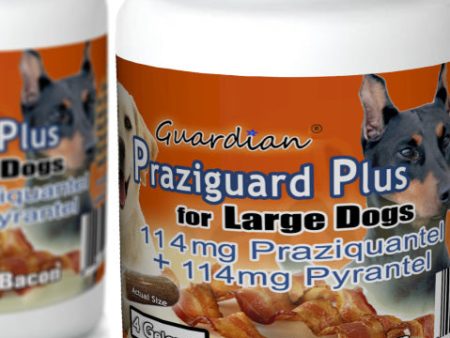 Guardian Praziguard Plus® 114mg Praziquantel & 114mg Pyrantel for Large Dogs Supply