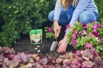 Miracle-Gro® Quick Start® Planting Tablets Discount