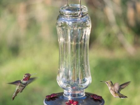 Woodstream Corporation Perky-Pet® Starglow Vintage Glass Hummingbird Feeder on Sale